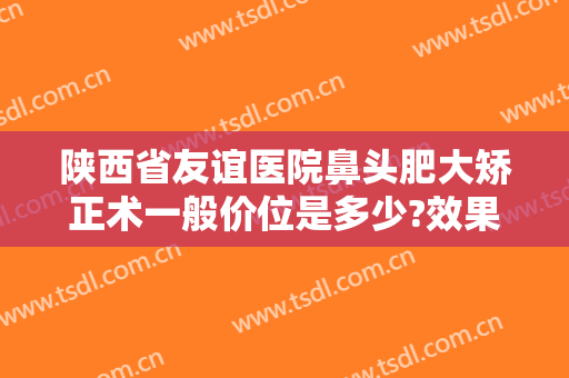 陕西省友谊医院鼻头肥大矫正术一般价位是多少?效果怎么样?