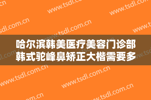 哈尔滨韩美医疗美容门诊部韩式驼峰鼻矫正大楷需要多少费用?怎么样?