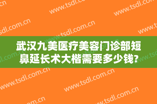 武汉九美医疗美容门诊部短鼻延长术大楷需要多少钱?有哪些优势?