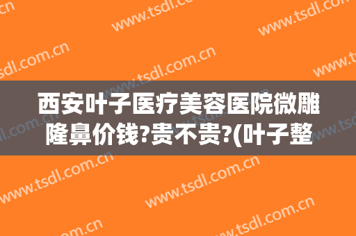 西安叶子医疗美容医院微雕隆鼻价钱?贵不贵?(叶子整形美容医院价格)
