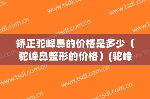 矫正驼峰鼻的价格是多少（驼峰鼻整形的价格）(驼峰鼻矫正 硅胶隆鼻)
