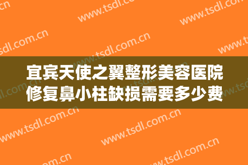 宜宾天使之翼整形美容医院修复鼻小柱缺损需要多少费用?可靠吗?(宜宾天使之翼整形医院电话)