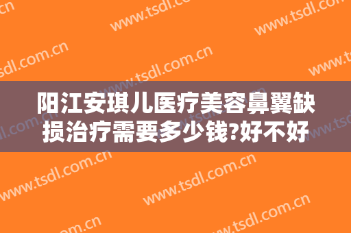 阳江安琪儿医疗美容鼻翼缺损治疗需要多少钱?好不好?