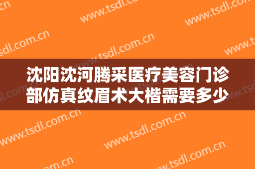 沈阳沈河腾采医疗美容门诊部仿真纹眉术大楷需要多少费用?多长时间恢复?