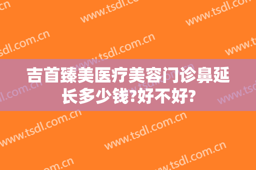 吉首臻美医疗美容门诊鼻延长多少钱?好不好?