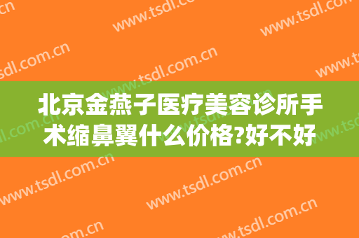 北京金燕子医疗美容诊所手术缩鼻翼什么价格?好不好?(北京金燕子医美怎么样)
