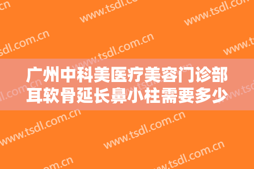 广州中科美医疗美容门诊部耳软骨延长鼻小柱需要多少费用?靠谱吗?