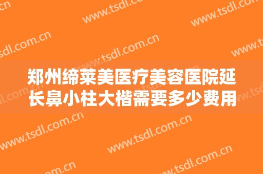 郑州缔莱美医疗美容医院延长鼻小柱大楷需要多少费用?效果怎么样?