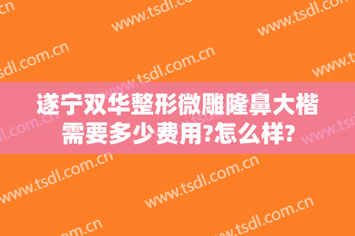 遂宁双华整形微雕隆鼻大楷需要多少费用?怎么样?