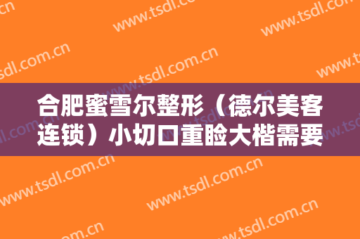 合肥蜜雪尔整形（德尔美客连锁）小切口重睑大楷需要多少钱?好不好?