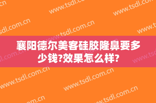 襄阳德尔美客硅胶隆鼻要多少钱?效果怎么样?