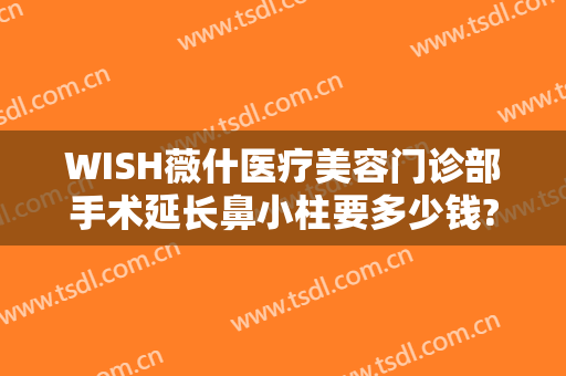 WISH薇什医疗美容门诊部手术延长鼻小柱要多少钱?好不好?
