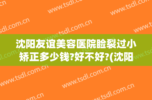 沈阳友谊美容医院睑裂过小矫正多少钱?好不好?(沈阳整形修复医院)