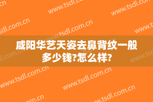 咸阳华艺天姿去鼻背纹一般多少钱?怎么样?