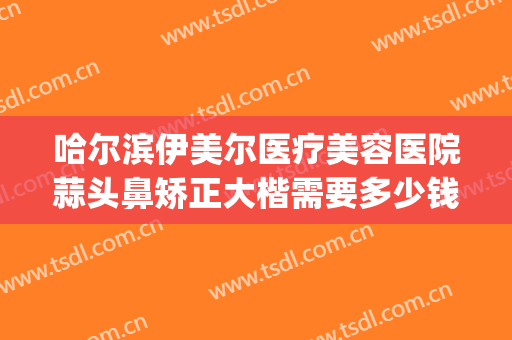 哈尔滨伊美尔医疗美容医院蒜头鼻矫正大楷需要多少钱?可靠吗?(青岛伊美尔做鼻子多少钱)