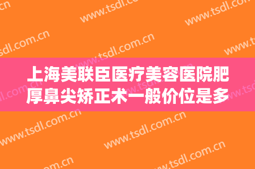 上海美联臣医疗美容医院肥厚鼻尖矫正术一般价位是多少?怎么样?(上海美联臣整容医院)