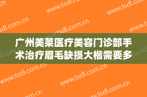 广州美莱医疗美容门诊部手术治疗眉毛缺损大楷需要多少钱?怎么样?(广州修眉毛一般多少钱)