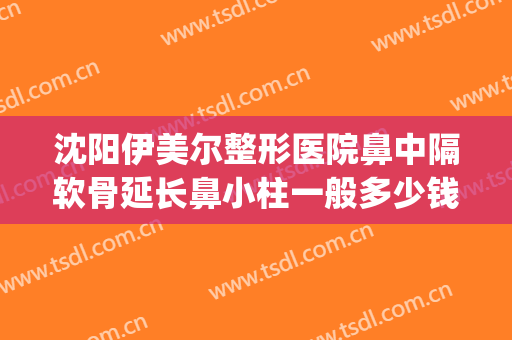 沈阳伊美尔整形医院鼻中隔软骨延长鼻小柱一般多少钱?贵不贵?(沈阳鼻部整形好的医院)