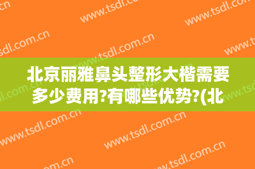 北京丽雅鼻头整形大楷需要多少费用?有哪些优势?(北京整鼻子多少钱)