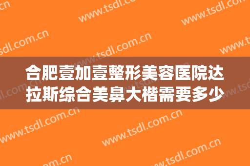 合肥壹加壹整形美容医院达拉斯综合美鼻大楷需要多少费用?可靠吗?(壹美整形美容医院好吗)