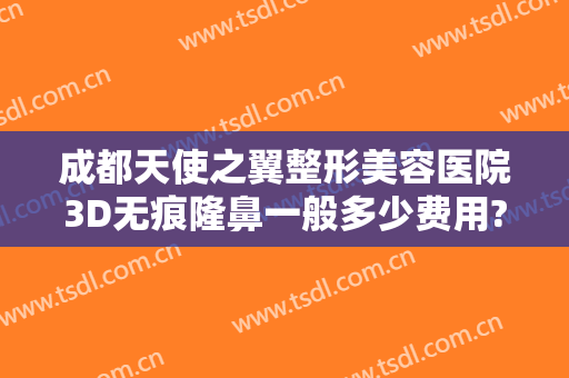 成都天使之翼整形美容医院3D无痕隆鼻一般多少费用?贵不贵?