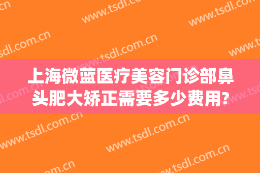 上海微蓝医疗美容门诊部鼻头肥大矫正需要多少费用?有哪些优势?(微蓝整形医院)