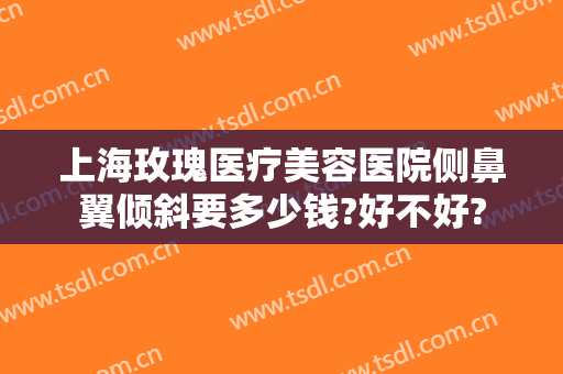 上海玫瑰医疗美容医院侧鼻翼倾斜要多少钱?好不好?