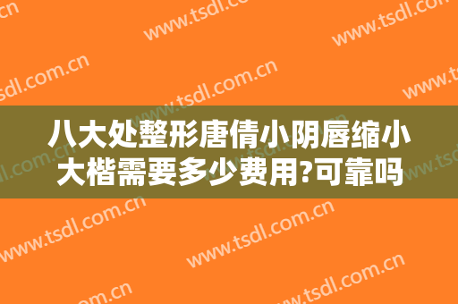 八大处整形唐倩小阴唇缩小大楷需要多少费用?可靠吗?