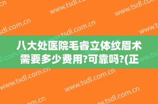 八大处医院毛睿立体纹眉术需要多少费用?可靠吗?(正规医院提眉术多少钱)