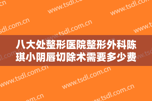 八大处整形医院整形外科陈琪小阴唇切除术需要多少费用?贵不贵?