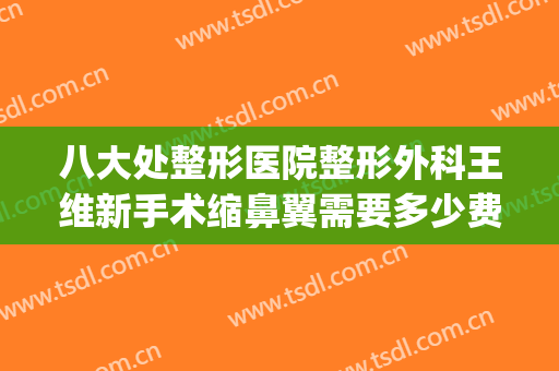 八大处整形医院整形外科王维新手术缩鼻翼需要多少费用?可靠吗?(整形医生王维怎么样)