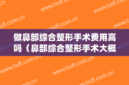 做鼻部综合整形手术费用高吗（鼻部综合整形手术大概多少钱）(鼻部整形术需要多少钱)
