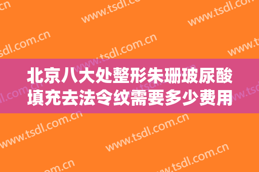 北京八大处整形朱珊玻尿酸填充去法令纹需要多少费用?可靠吗?(一般填充法令纹需要几只玻尿酸)
