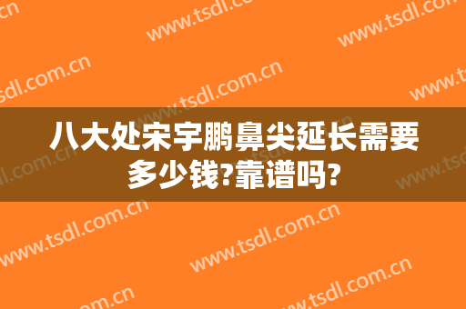八大处宋宇鹏鼻尖延长需要多少钱?靠谱吗?