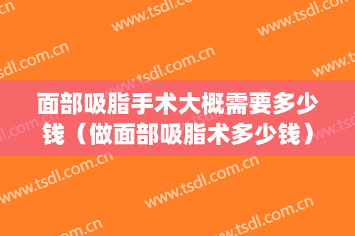 面部吸脂手术大概需要多少钱（做面部吸脂术多少钱）(面部吸脂大概多少钱?)