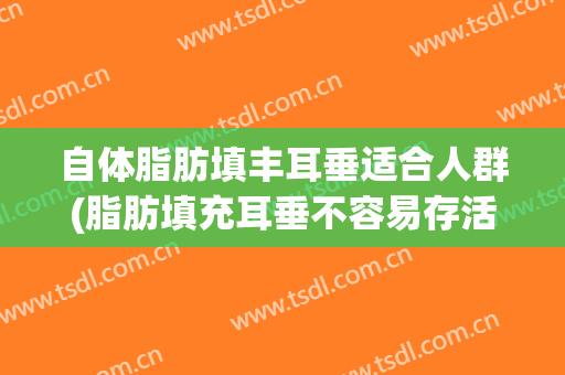 自体脂肪填丰耳垂适合人群(脂肪填充耳垂不容易存活吗)