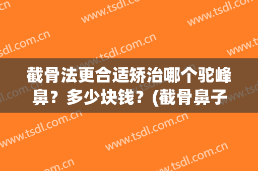 截骨法更合适矫治哪个驼峰鼻？多少块钱？(截骨鼻子矫正术)
