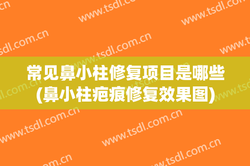 常见鼻小柱修复项目是哪些(鼻小柱疤痕修复效果图)