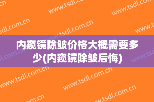 内窥镜除皱价格大概需要多少(内窥镜除皱后悔)