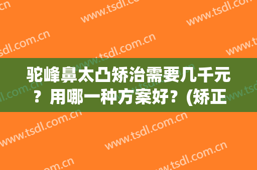 驼峰鼻太凸矫治需要几千元？用哪一种方案好？(矫正驼峰鼻一般多少钱)