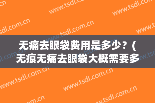 无痛去眼袋费用是多少？(无痕无痛去眼袋大概需要多少钱)