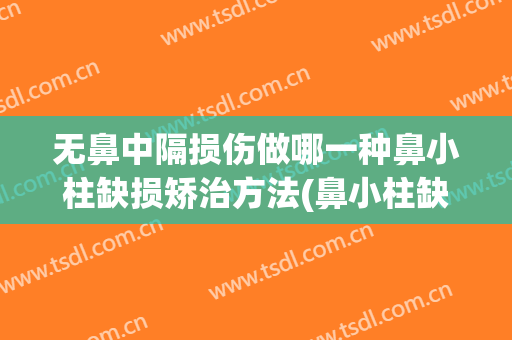 无鼻中隔损伤做哪一种鼻小柱缺损矫治方法(鼻小柱缺陷)