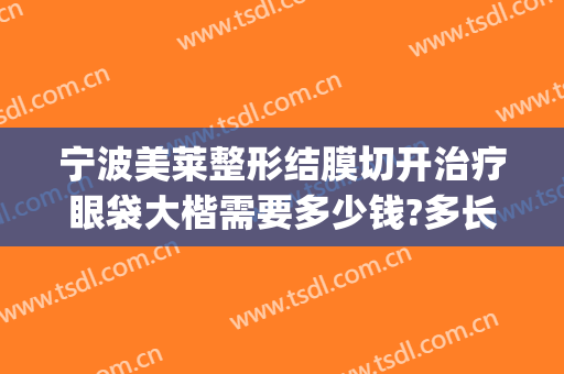 宁波美莱整形结膜切开治疗眼袋大楷需要多少钱?多长时间恢复?(大连去眼袋手术的价格)