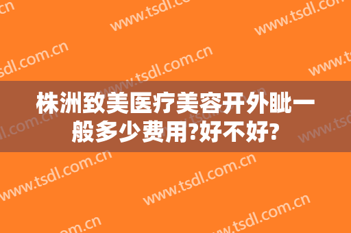 株洲致美医疗美容开外眦一般多少费用?好不好?