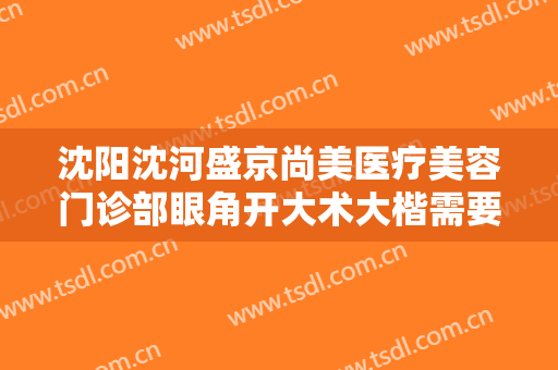 沈阳沈河盛京尚美医疗美容门诊部眼角开大术大楷需要多少费用?效果怎么样?