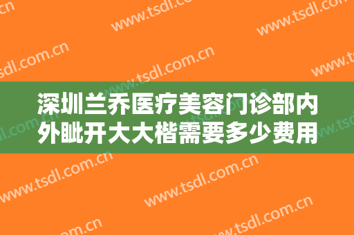 深圳兰乔医疗美容门诊部内外眦开大大楷需要多少费用?怎么样?