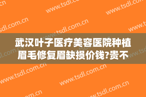 武汉叶子医疗美容医院种植眉毛修复眉缺损价钱?贵不贵?(武汉叶子整形医院评价怎么样)