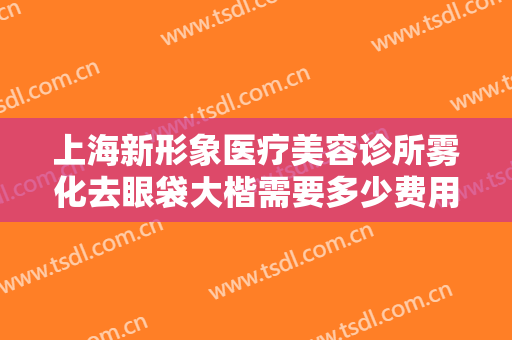 上海新形象医疗美容诊所雾化去眼袋大楷需要多少费用?有哪些优势?