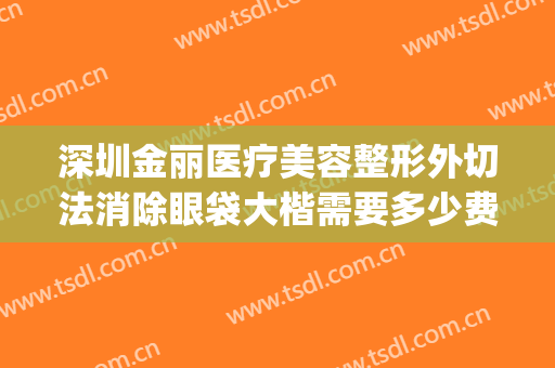 深圳金丽医疗美容整形外切法消除眼袋大楷需要多少费用?可靠吗?(整形去除眼袋医院)