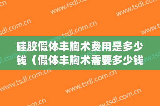 硅胶假体丰胸术费用是多少钱（假体丰胸术需要多少钱）(丰胸硅胶假体需要多少钱呢)